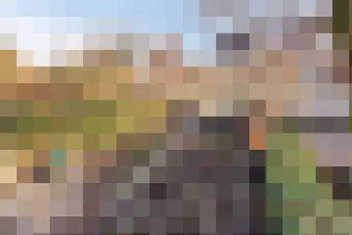 Prins Bernhardlaan 37 Zutphen thumbnail 59