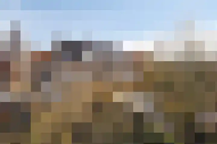 Prins Bernhardlaan 37 Zutphen thumbnail 60