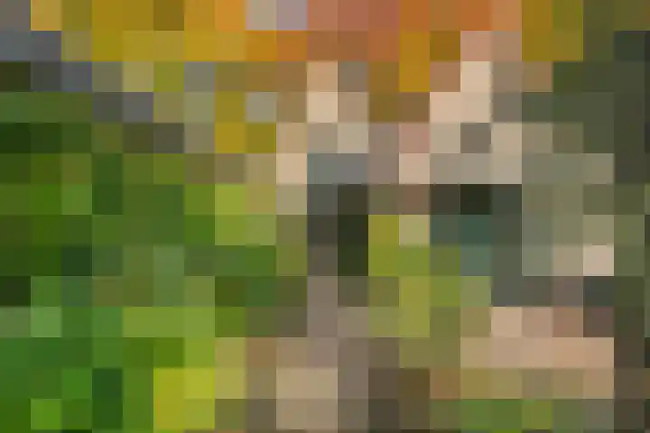 Prins Bernhardlaan 38 Bennekom thumbnail 34
