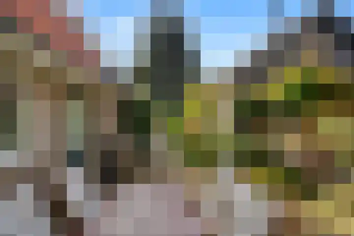 Prins Bernhardlaan 38 Bennekom thumbnail 36