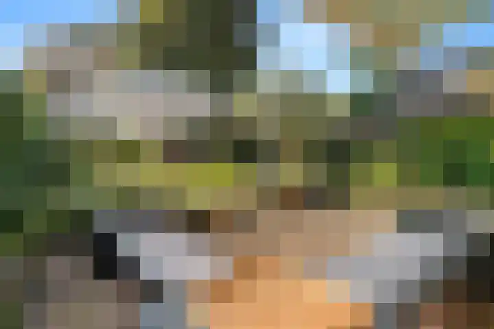 Prins Bernhardlaan 38 Bennekom thumbnail 38