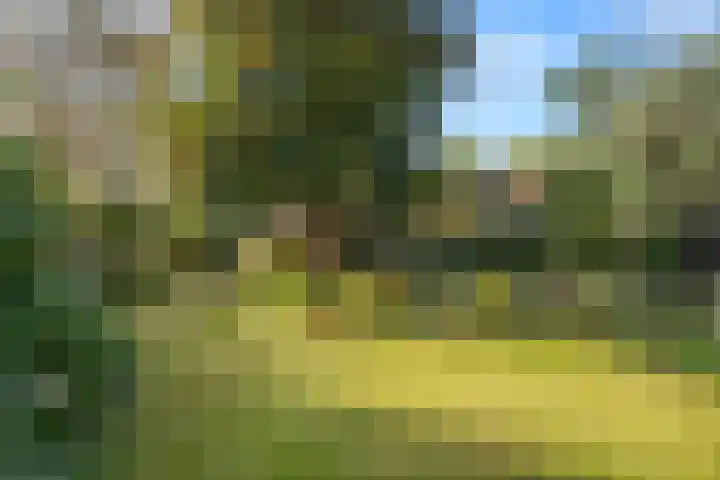 Prins Bernhardlaan 38 Bennekom thumbnail 39