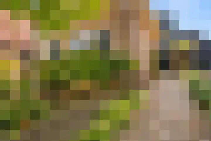 Prins Bernhardlaan 38 Bennekom thumbnail 4