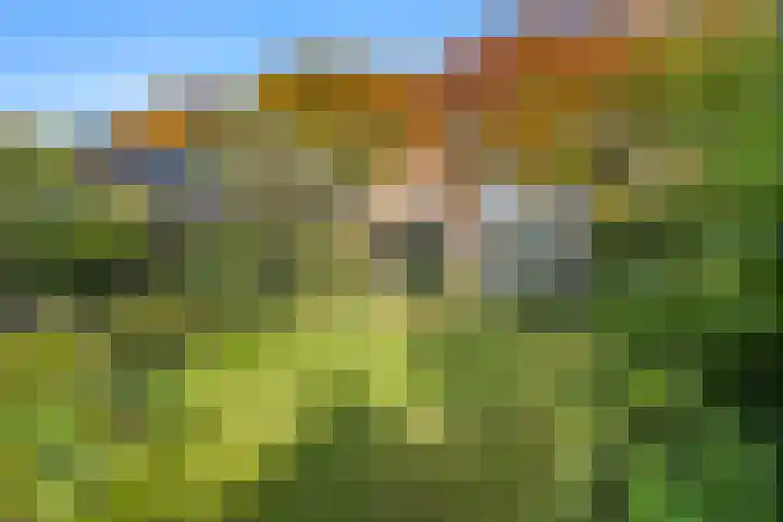 Prins Bernhardlaan 38 Bennekom thumbnail 40