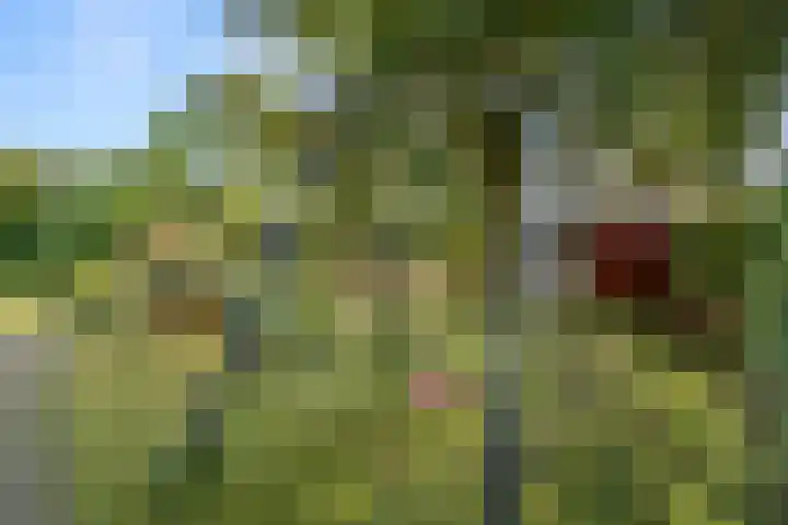 Prins Bernhardlaan 38 Bennekom thumbnail 42