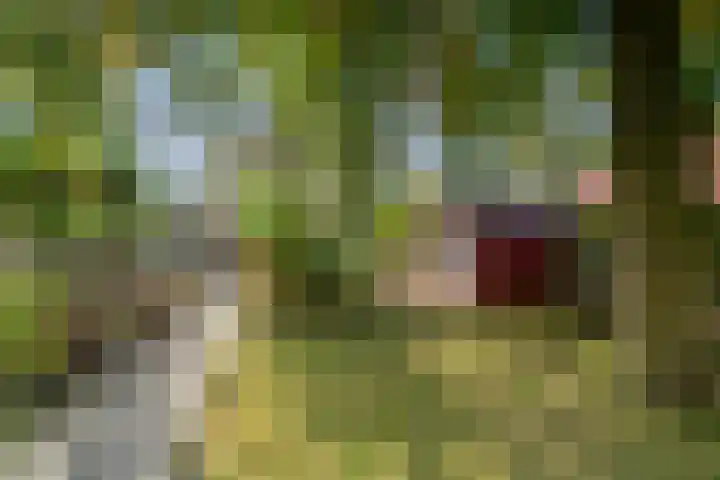 Prins Bernhardlaan 38 Bennekom thumbnail 44