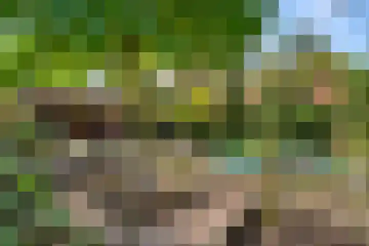 Prins Bernhardlaan 38 Bennekom thumbnail 45