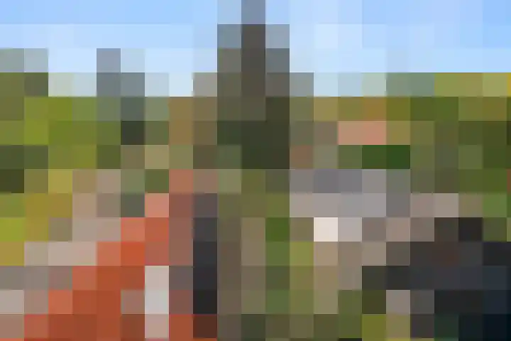 Prins Bernhardlaan 38 Bennekom thumbnail 49