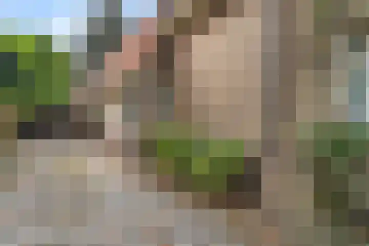 Prins Bernhardlaan 38 Bennekom thumbnail 5
