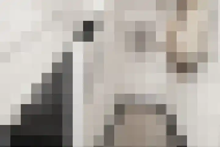 Prins Bernhardlaan 38 Bennekom thumbnail 8