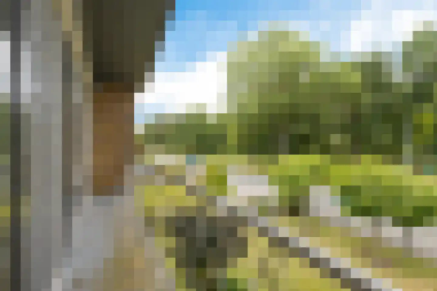 Prins Bernhardlaan 38 Delfzijl thumbnail 38