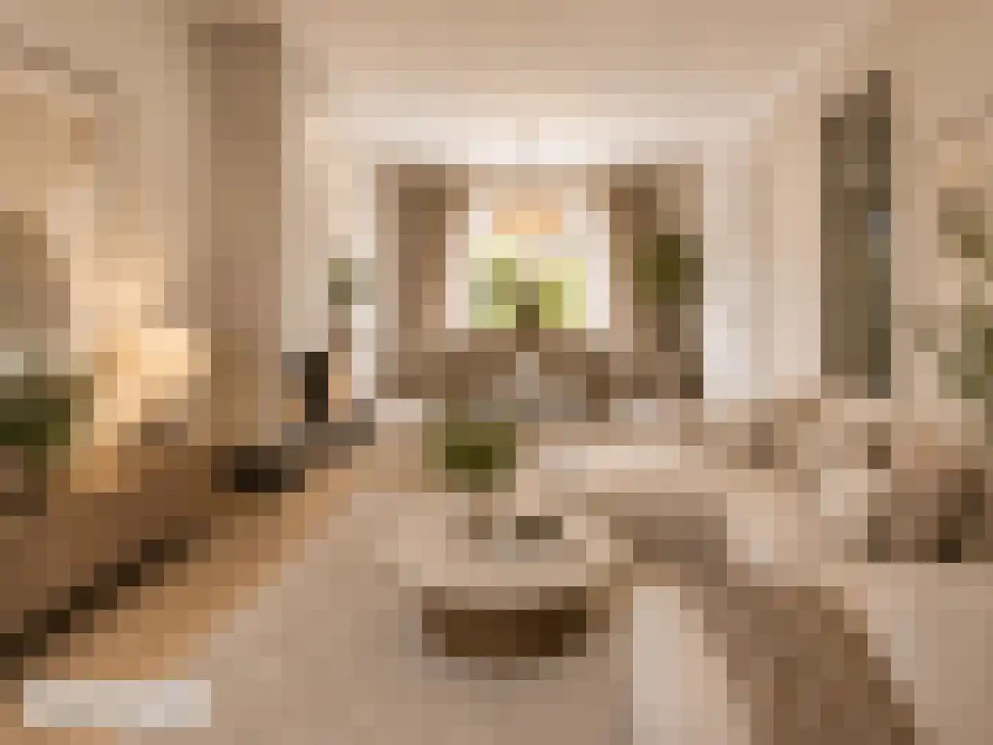 Prins Bernhardlaan 38 Oegstgeest thumbnail 13