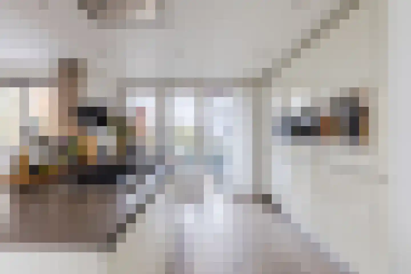 Prins Bernhardlaan 38 Vinkeveen thumbnail 19