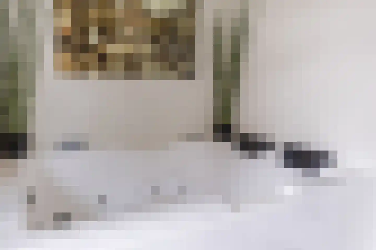 Prins Bernhardlaan 38 Vinkeveen thumbnail 38
