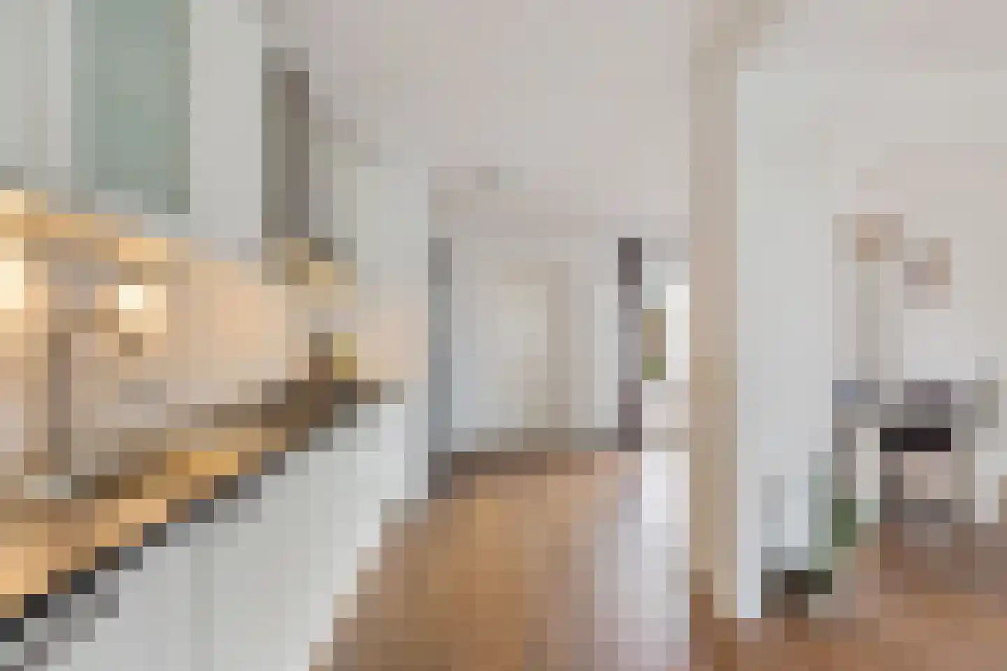 Prins Bernhardlaan 4 Joure thumbnail 13