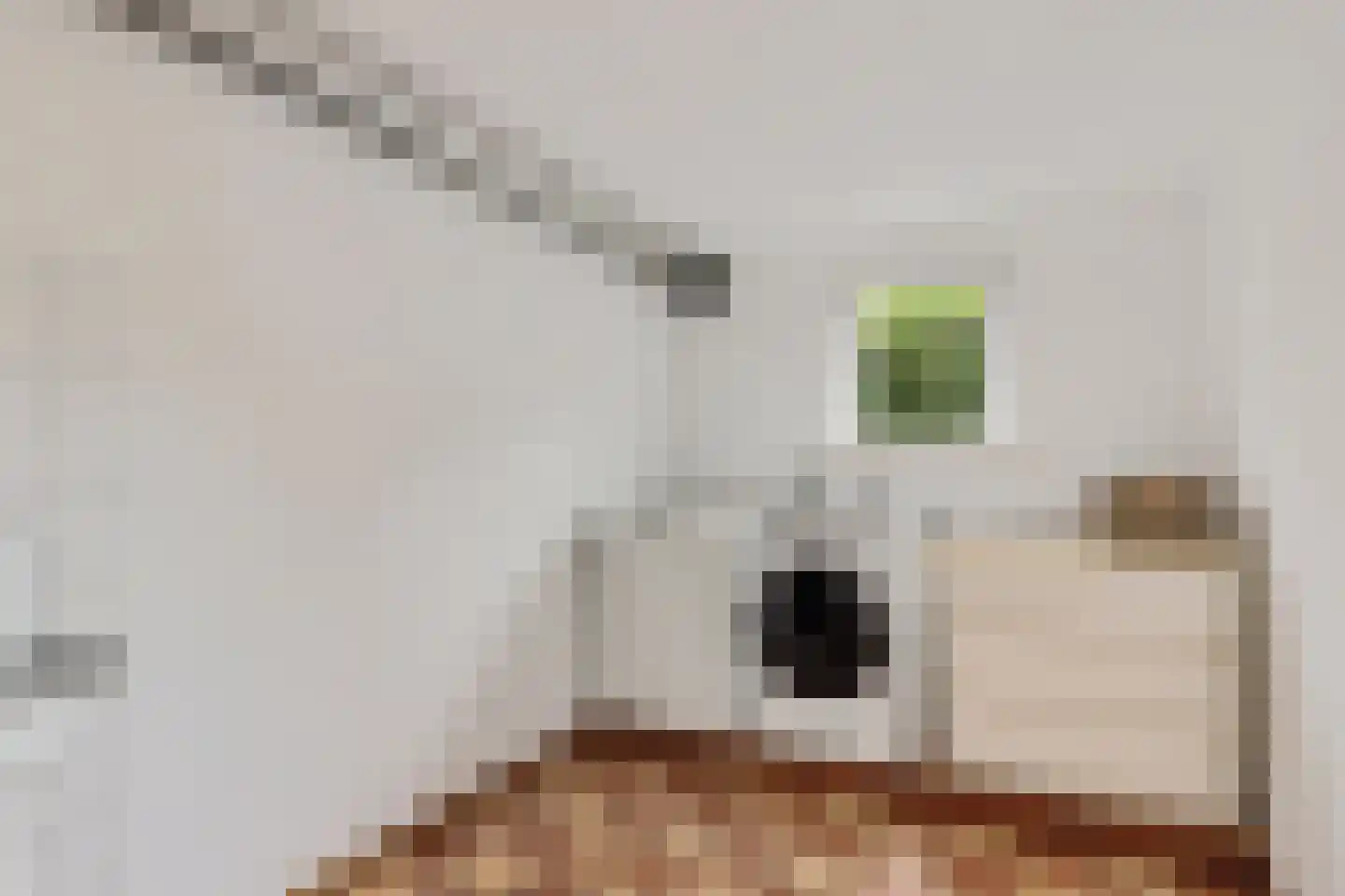 Prins Bernhardlaan 4 Joure thumbnail 35