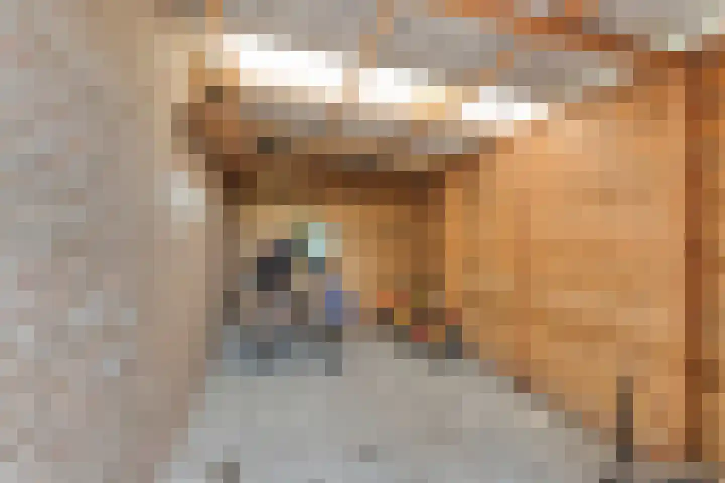 Prins Bernhardlaan 4 Joure thumbnail 37