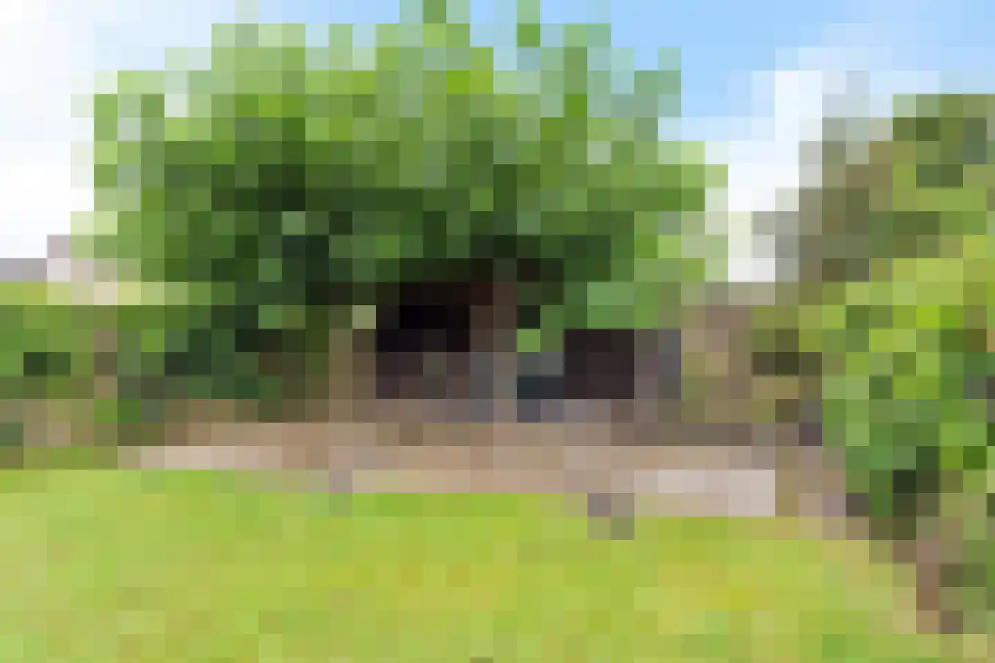Prins Bernhardlaan 4 Joure thumbnail 43