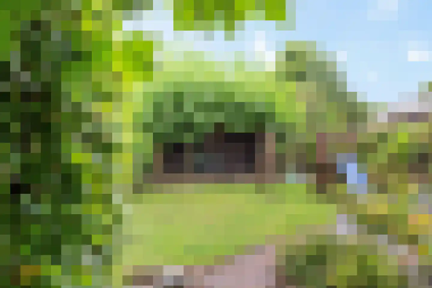 Prins Bernhardlaan 4 Joure thumbnail 6