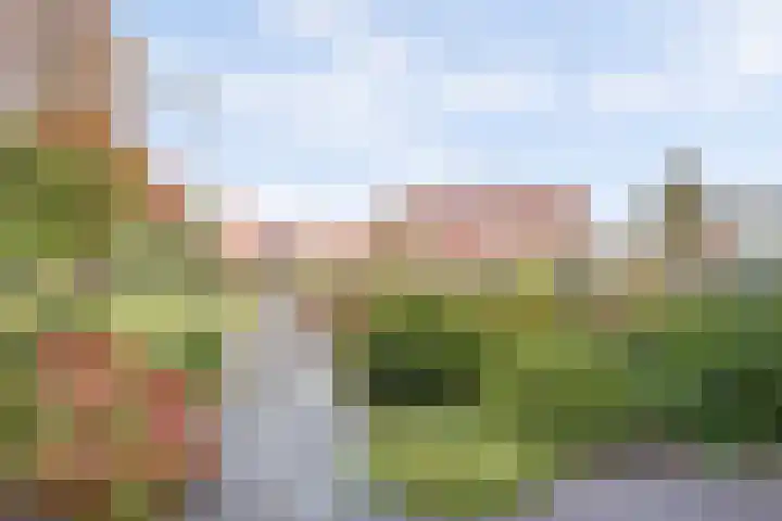 Prins Bernhardlaan 4 Rijnsburg thumbnail 44