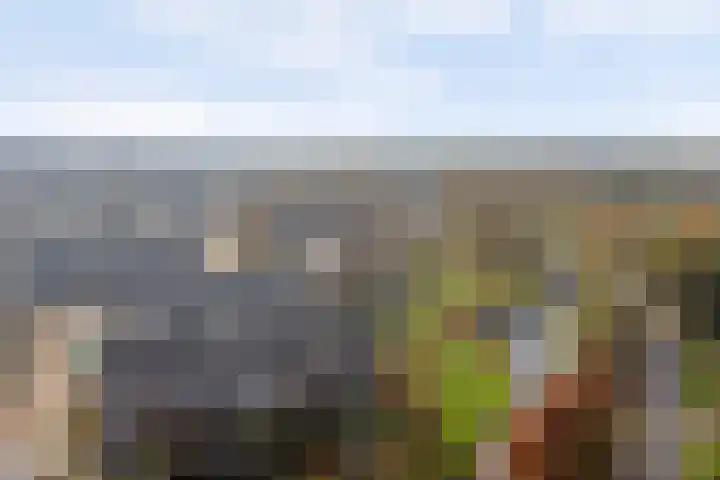 Prins Bernhardlaan 4 Rijnsburg thumbnail 48
