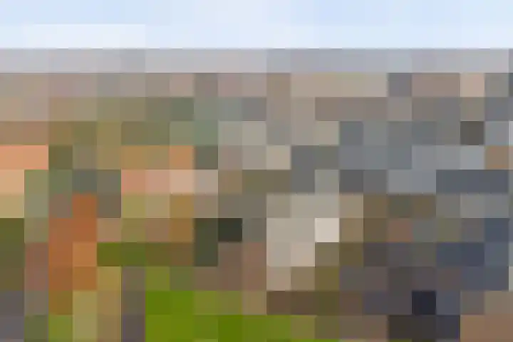 Prins Bernhardlaan 4 Rijnsburg thumbnail 50