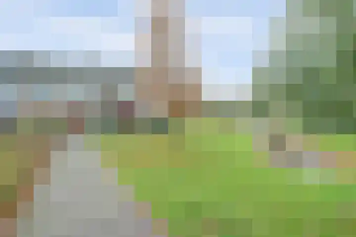Prins Bernhardlaan 4 Rijnsburg thumbnail 7