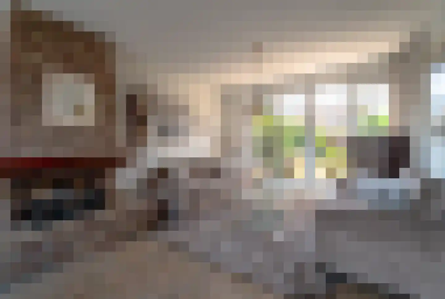 Prins Bernhardlaan 4 Spijkenisse thumbnail 15