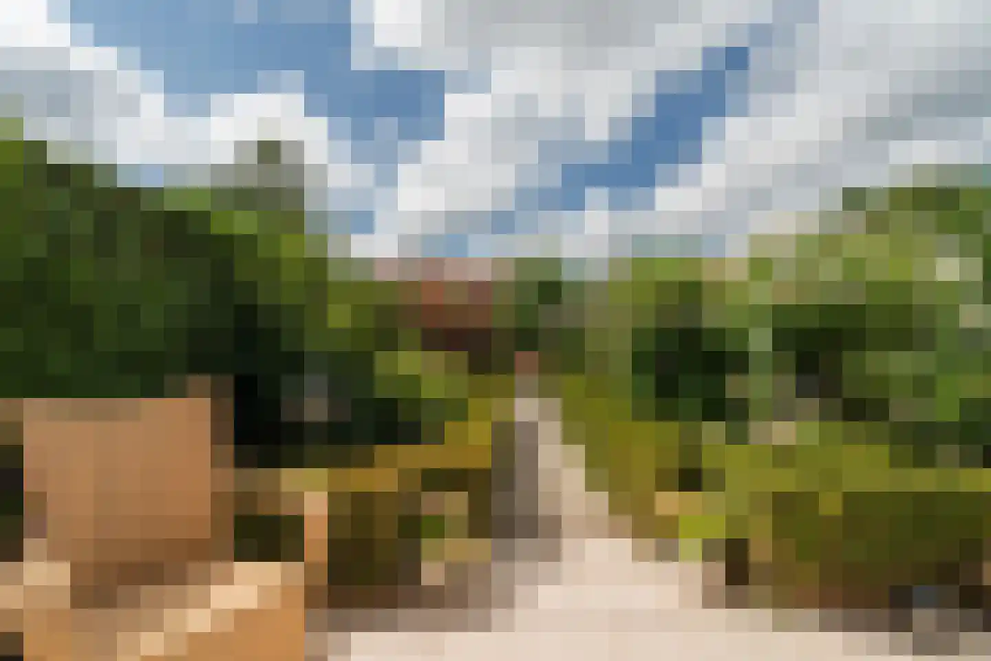 Prins Bernhardlaan 4 Spijkenisse thumbnail 17
