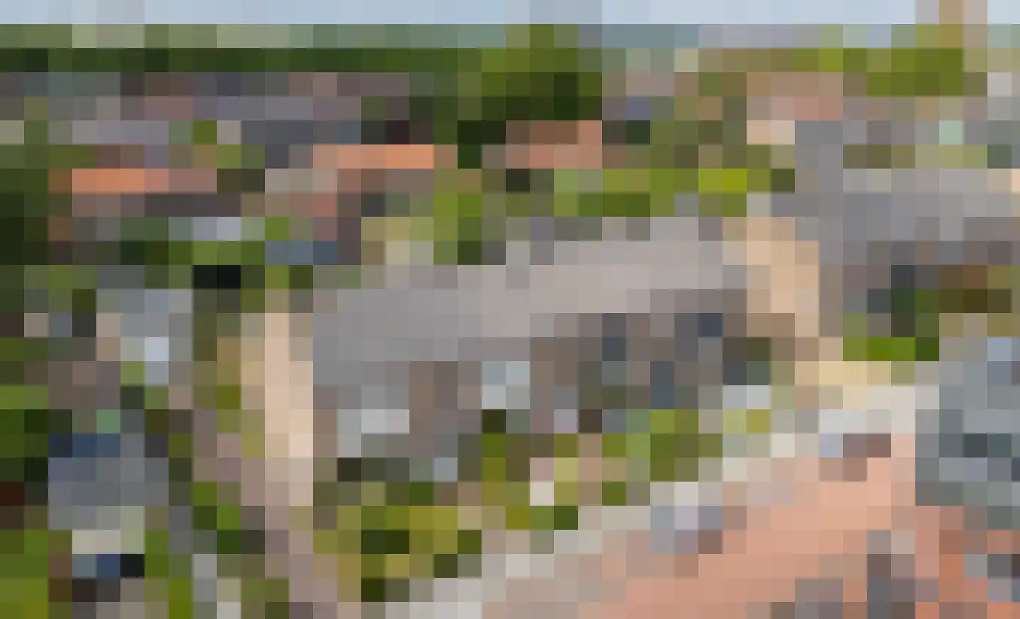 Prins Bernhardlaan 4 Spijkenisse thumbnail 6