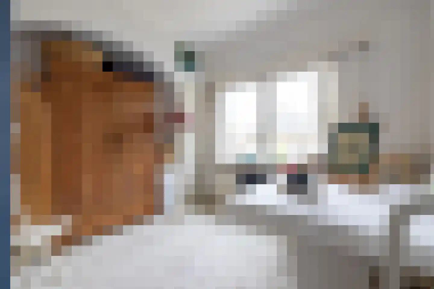 Prins Bernhardlaan 4 Vlaardingen thumbnail 23
