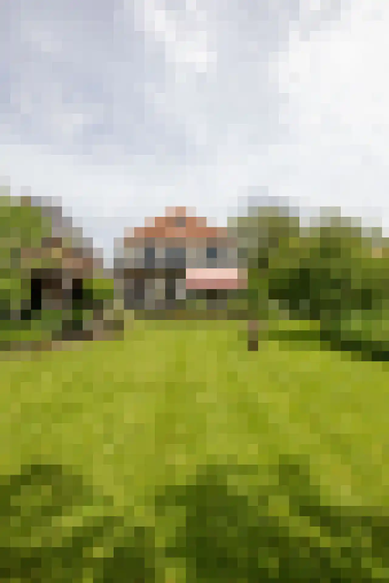 Prins Bernhardlaan 4 Vlaardingen thumbnail 36