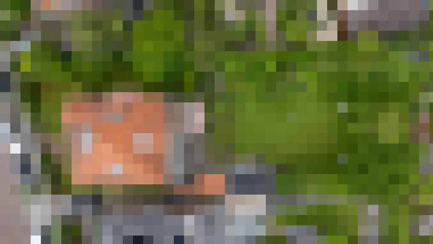 Prins Bernhardlaan 4 Vlaardingen thumbnail 38