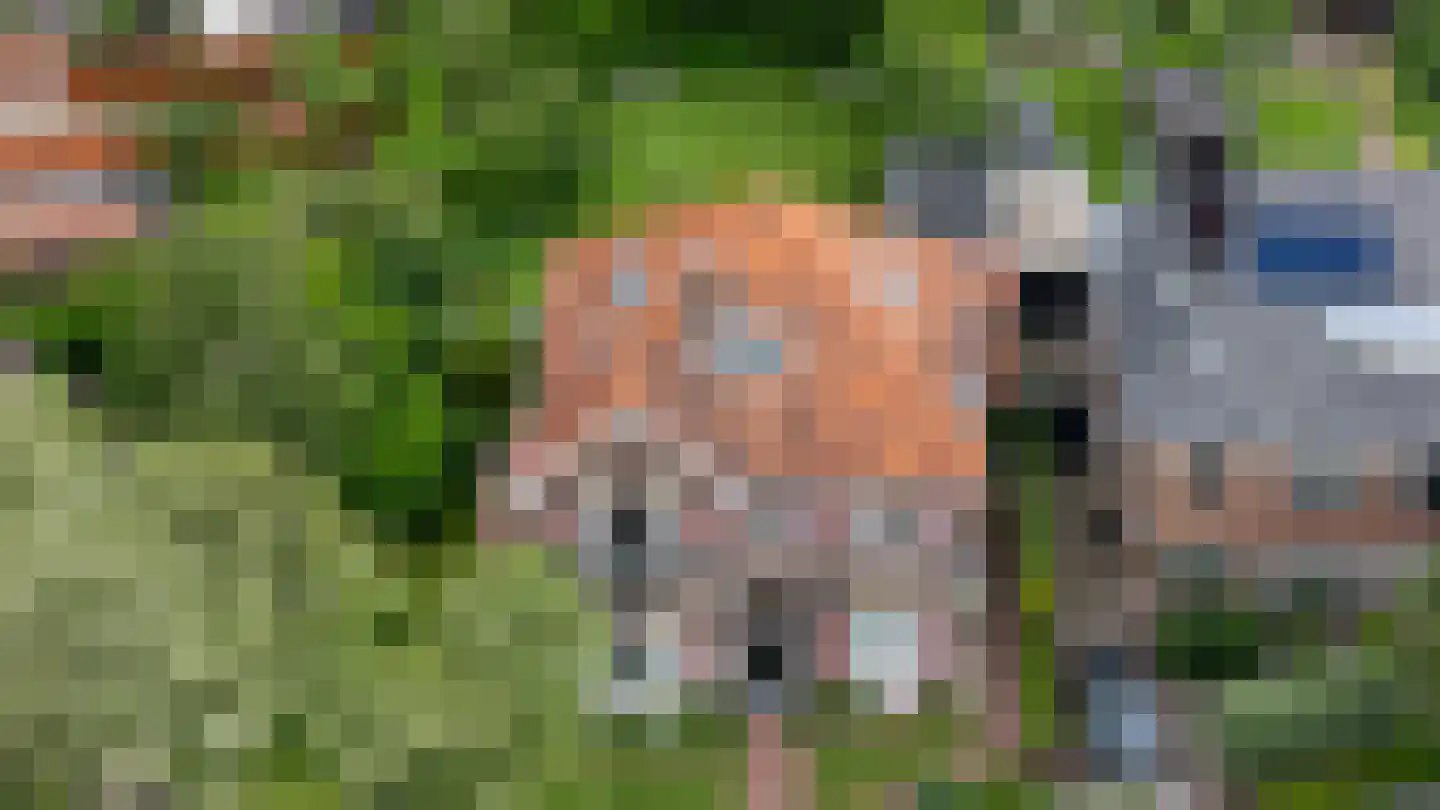 Prins Bernhardlaan 4 Vlaardingen thumbnail 4