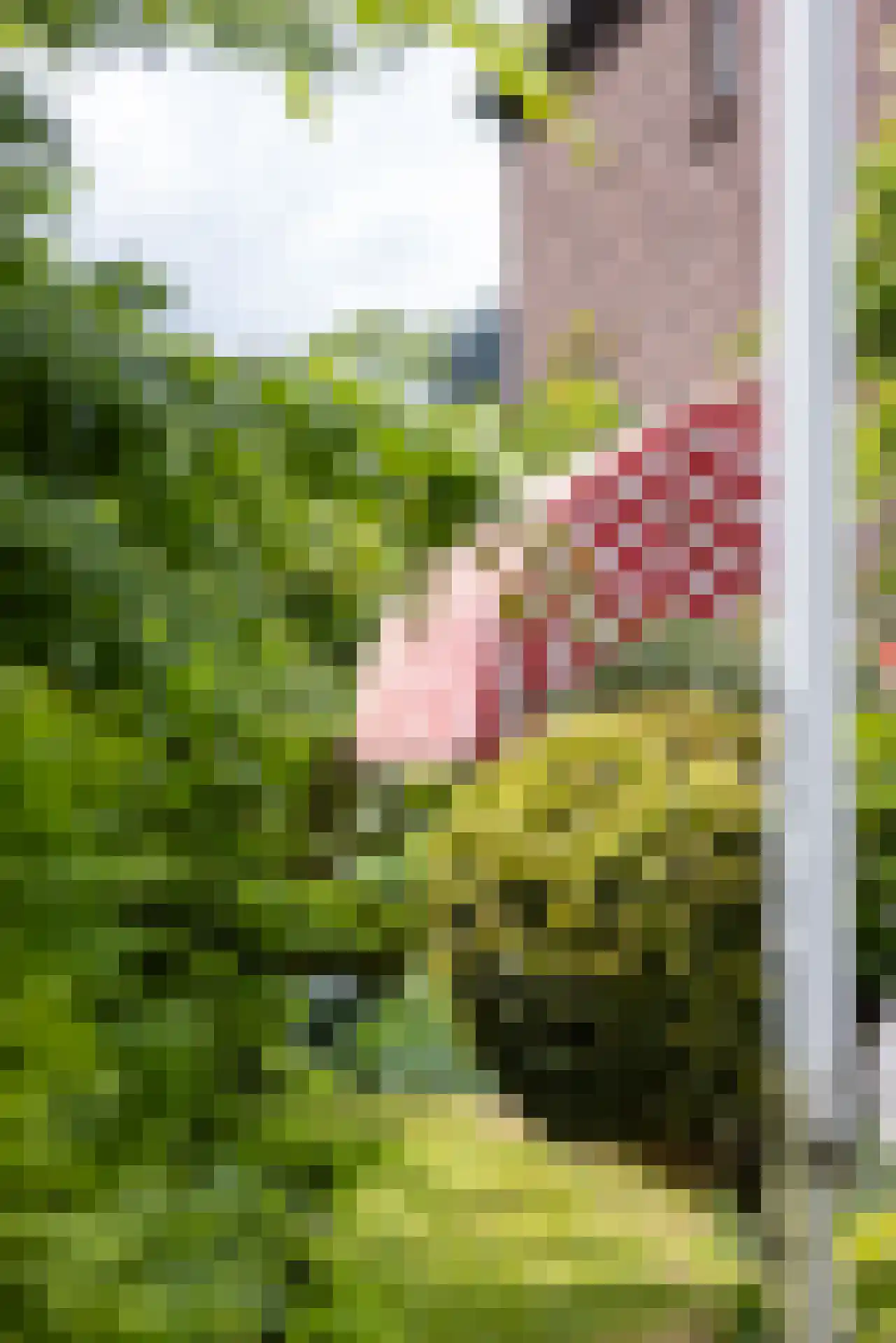 Prins Bernhardlaan 4 Vlaardingen thumbnail 42