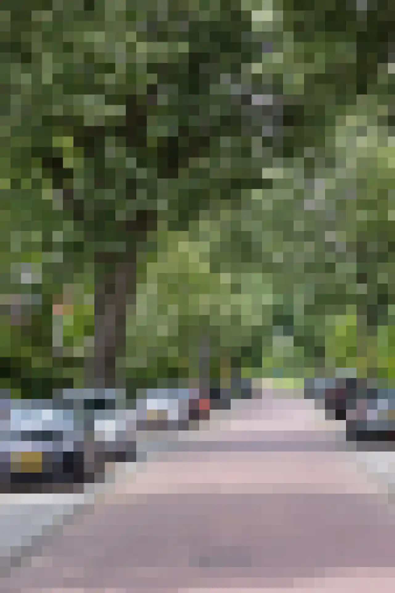 Prins Bernhardlaan 4 Vlaardingen thumbnail 44