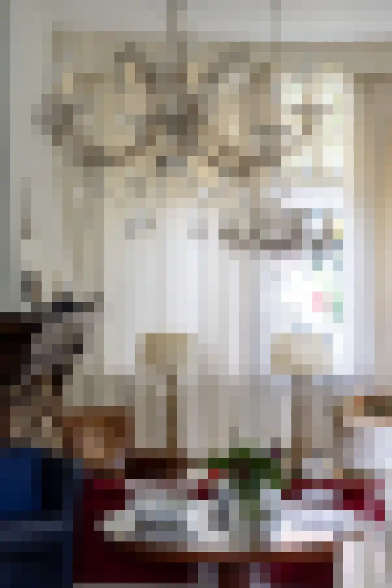 Prins Bernhardlaan 4 Vlaardingen thumbnail 8