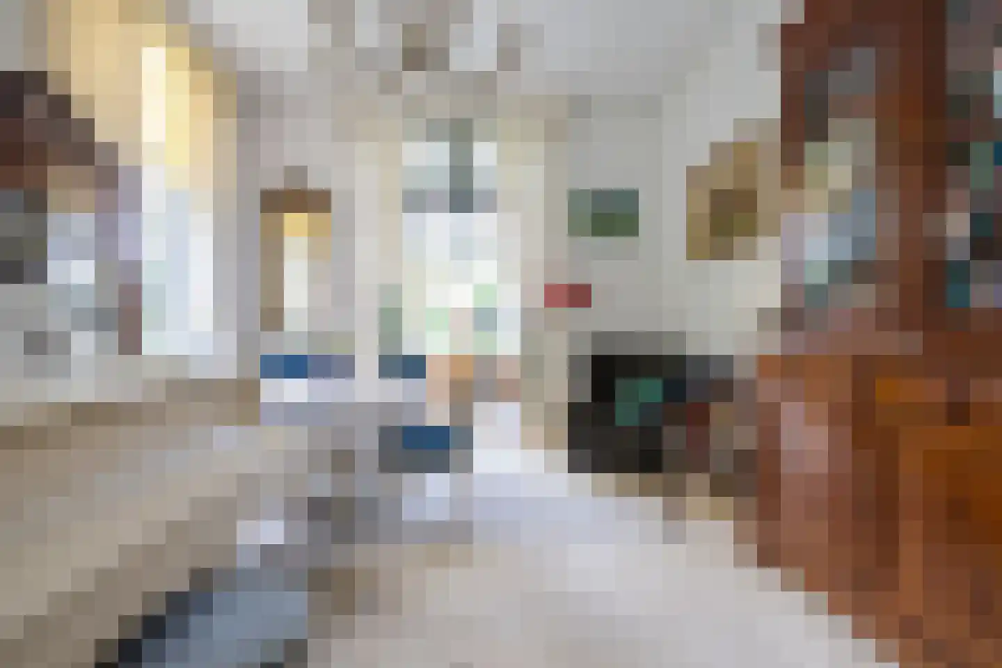 Prins Bernhardlaan 4 Vlaardingen thumbnail 9