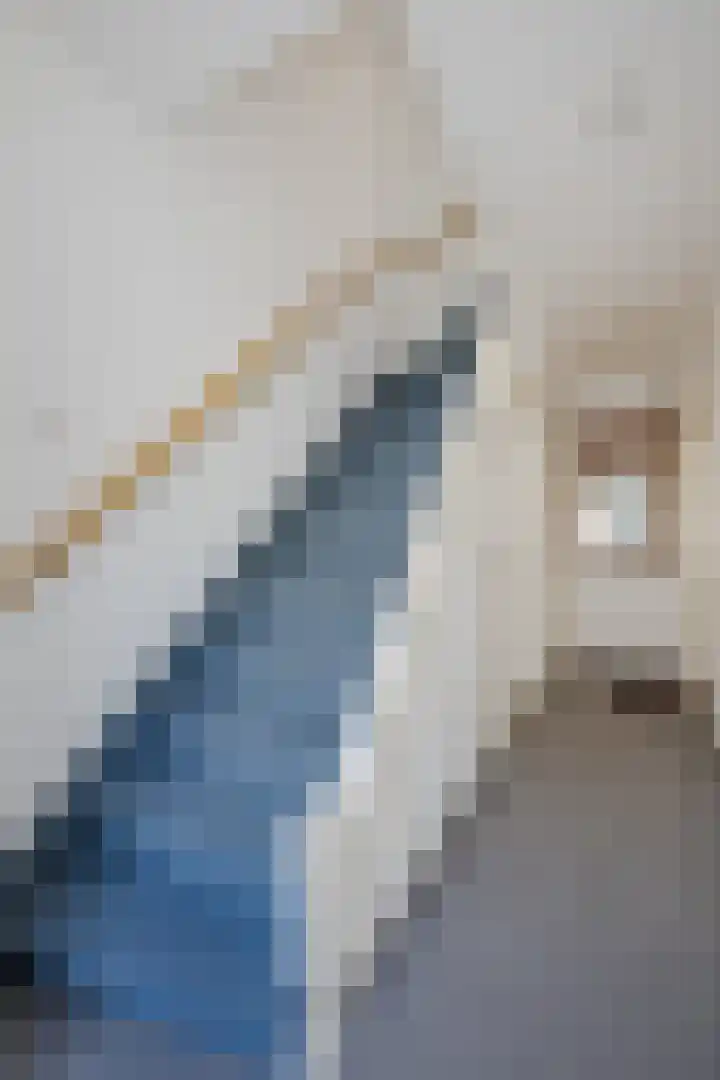Prins Bernhardlaan 4 Voorschoten thumbnail 20
