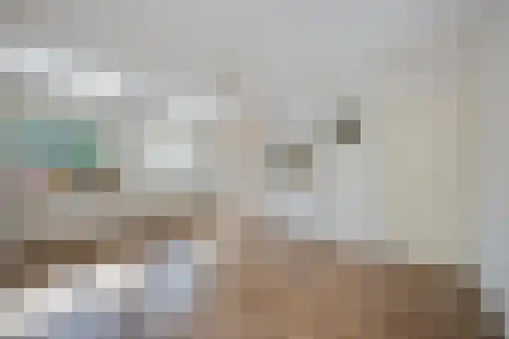 Prins Bernhardlaan 4 Voorschoten thumbnail 23