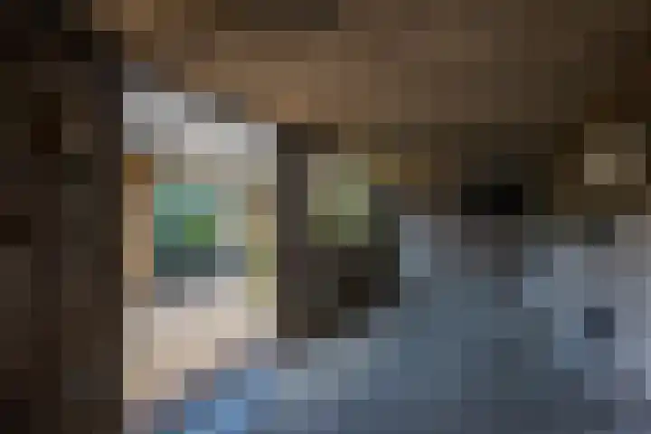 Prins Bernhardlaan 4 Voorschoten thumbnail 38