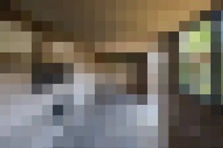 Prins Bernhardlaan 4 Voorschoten thumbnail 39