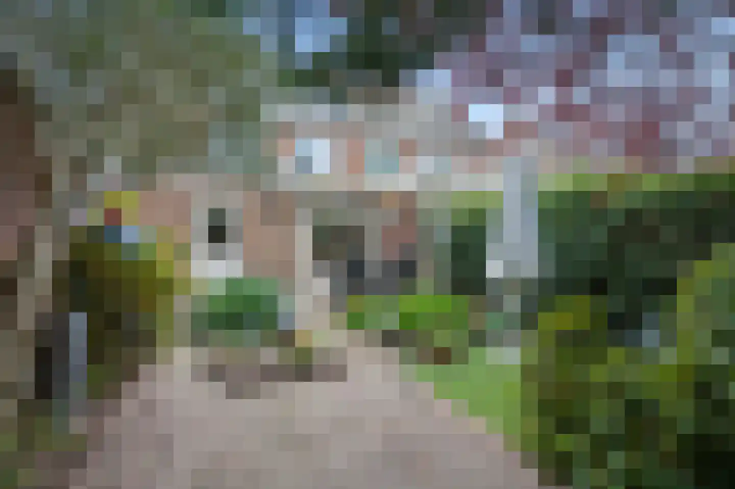 Prins Bernhardlaan 40 Ede thumbnail 4