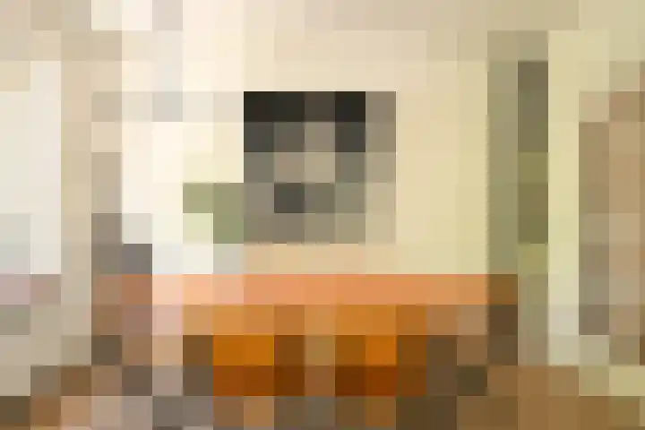 Prins Bernhardlaan 40 Voorburg thumbnail 16