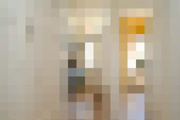 Prins Bernhardlaan 40 Voorburg thumbnail 20