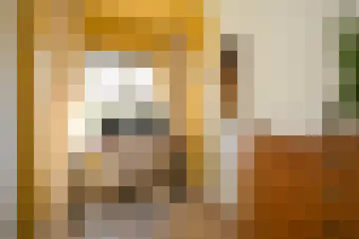 Prins Bernhardlaan 40 Voorburg thumbnail 21