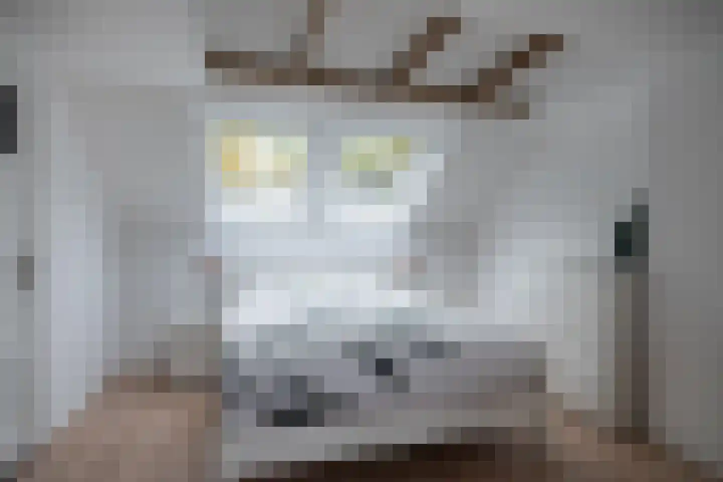Prins Bernhardlaan 41 BS Utrecht thumbnail 17