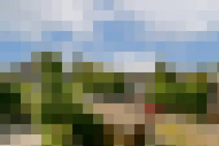 Prins Bernhardlaan 41 Diemen thumbnail 14