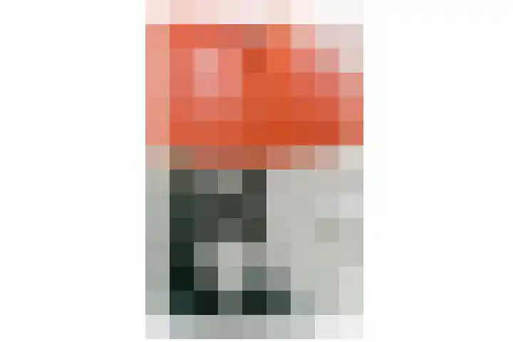 Prins Bernhardlaan 41 Diemen thumbnail 19