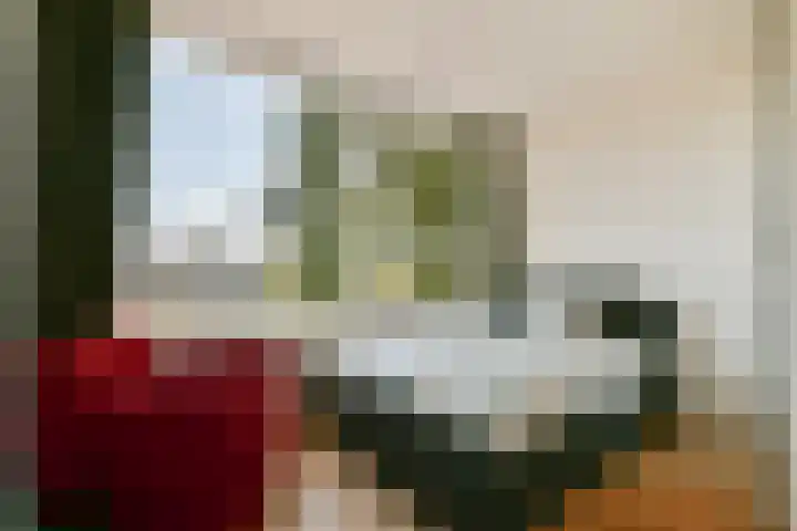 Prins Bernhardlaan 41 Diemen thumbnail 20